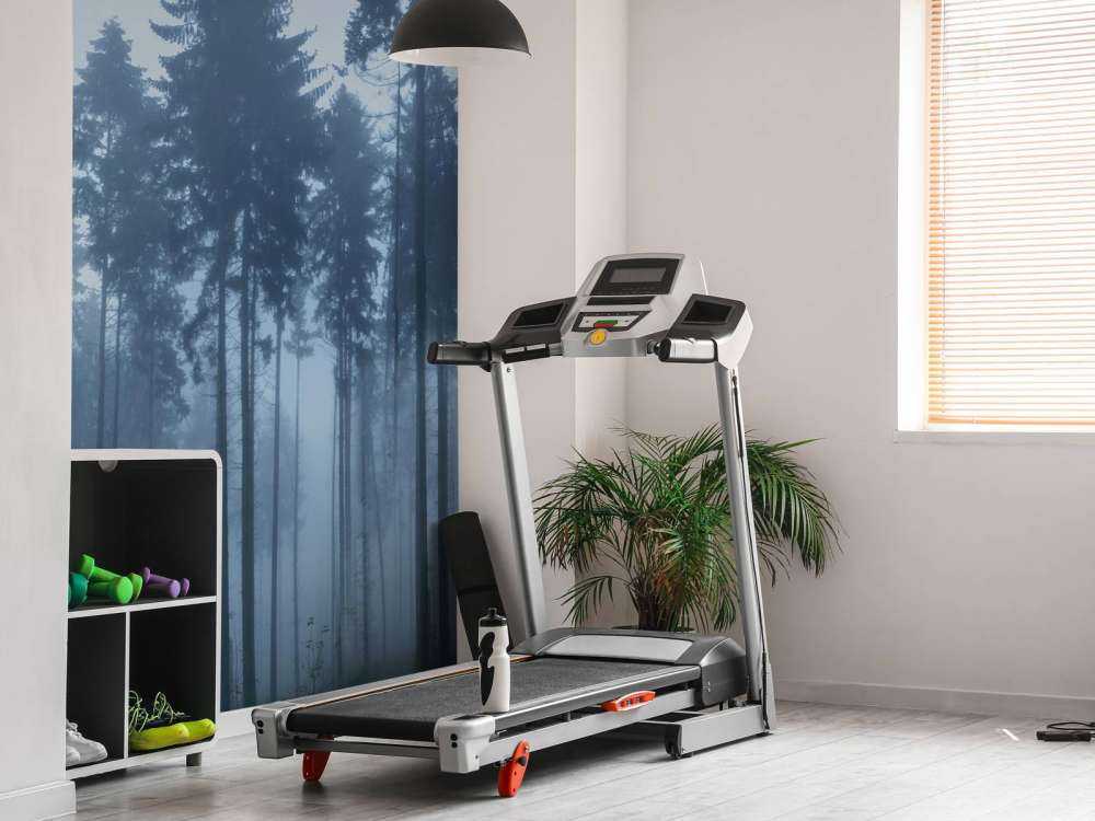 Det tåkefulle landskapet