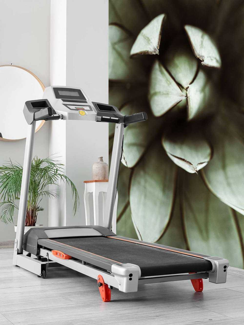 Fett plante