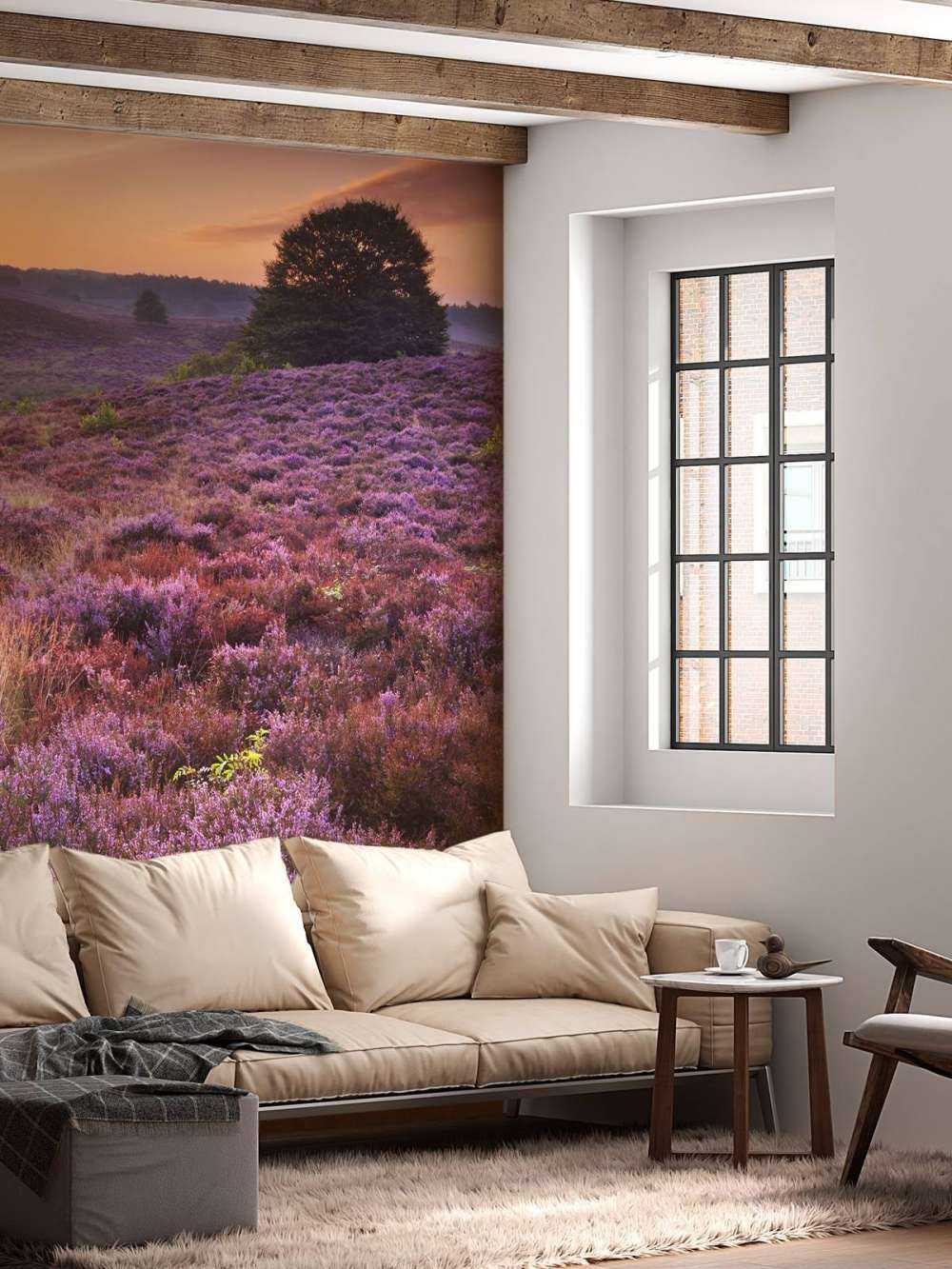 solnedgang i Posbank