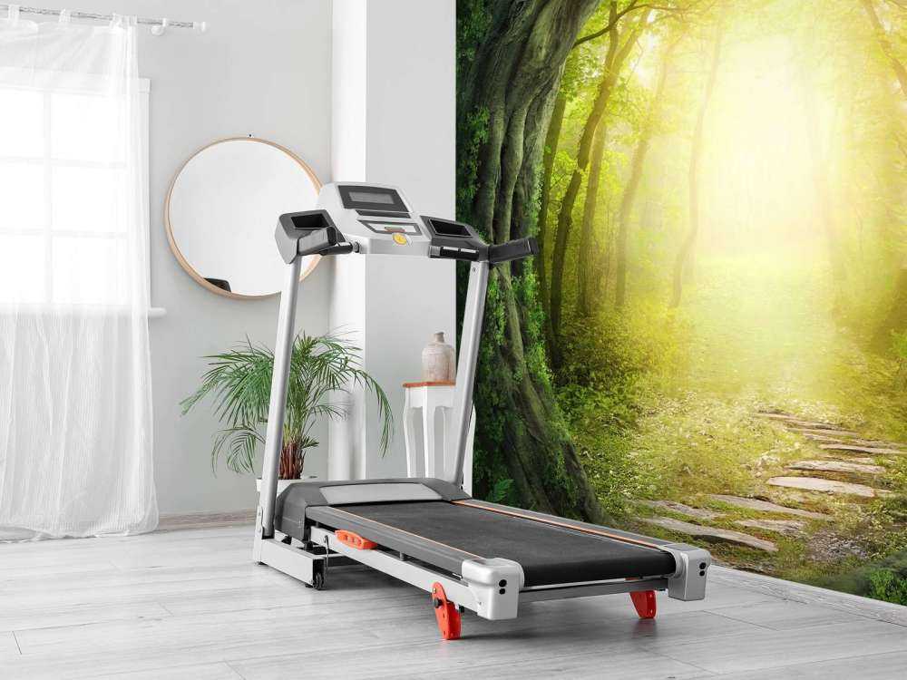 Steinsti gjennom skog