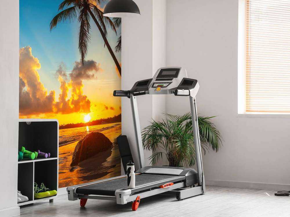 Solnedgang med palmer