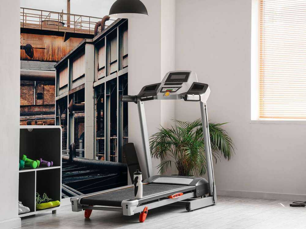 Skinner på gammel fabrikk