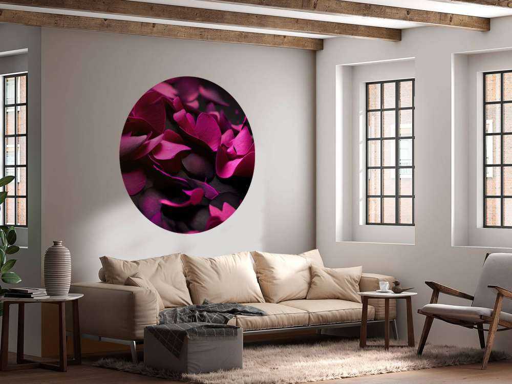 Mørk rosa hortensia