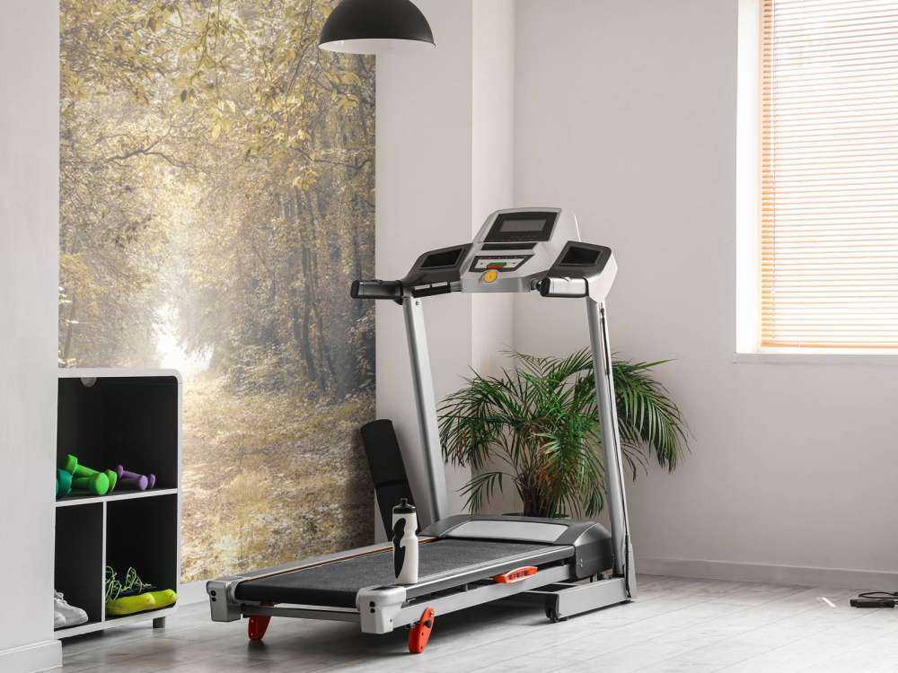 Sti gjennom en forlatt skog