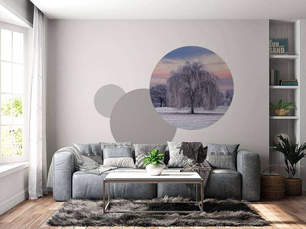 Tre dekket med frost