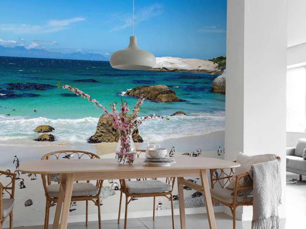 Strand med pingviner