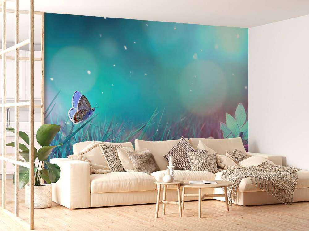 Sommerfugl om morgenen dugg