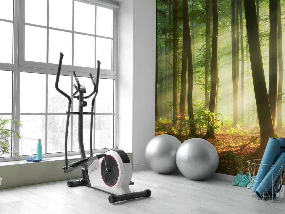 Morgensol blant trærne