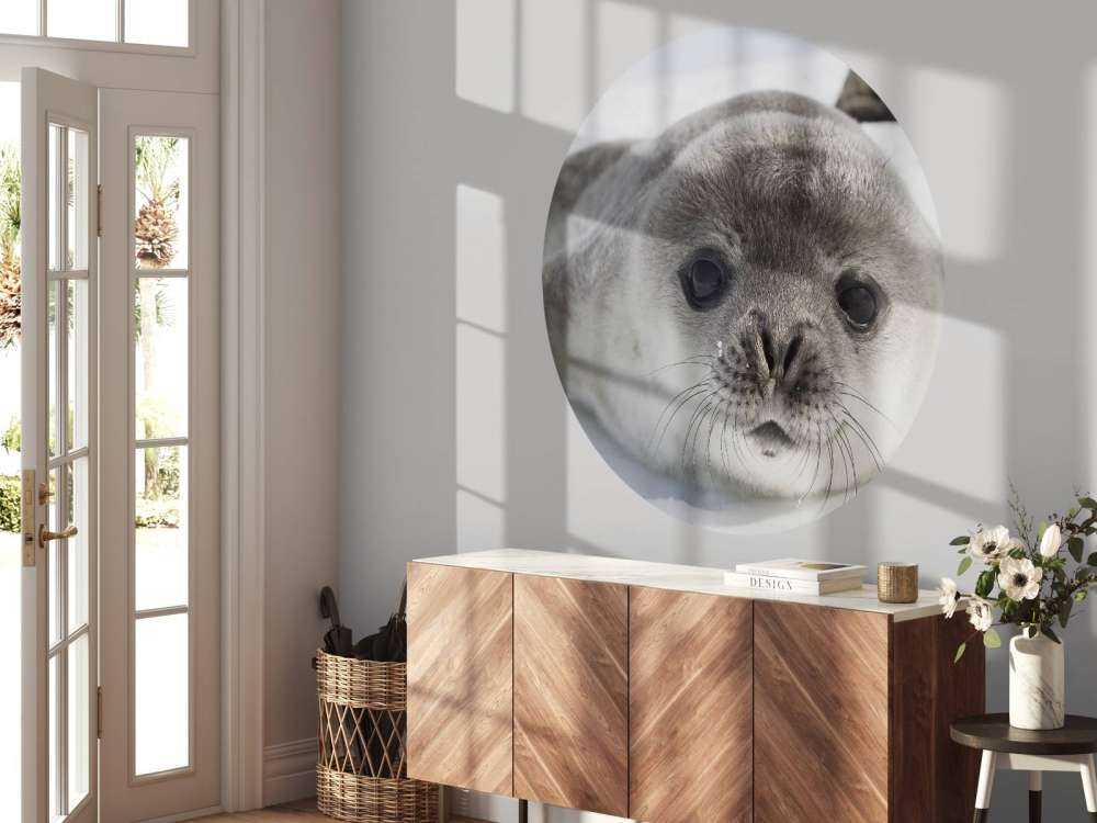 Nærbilde av et segl