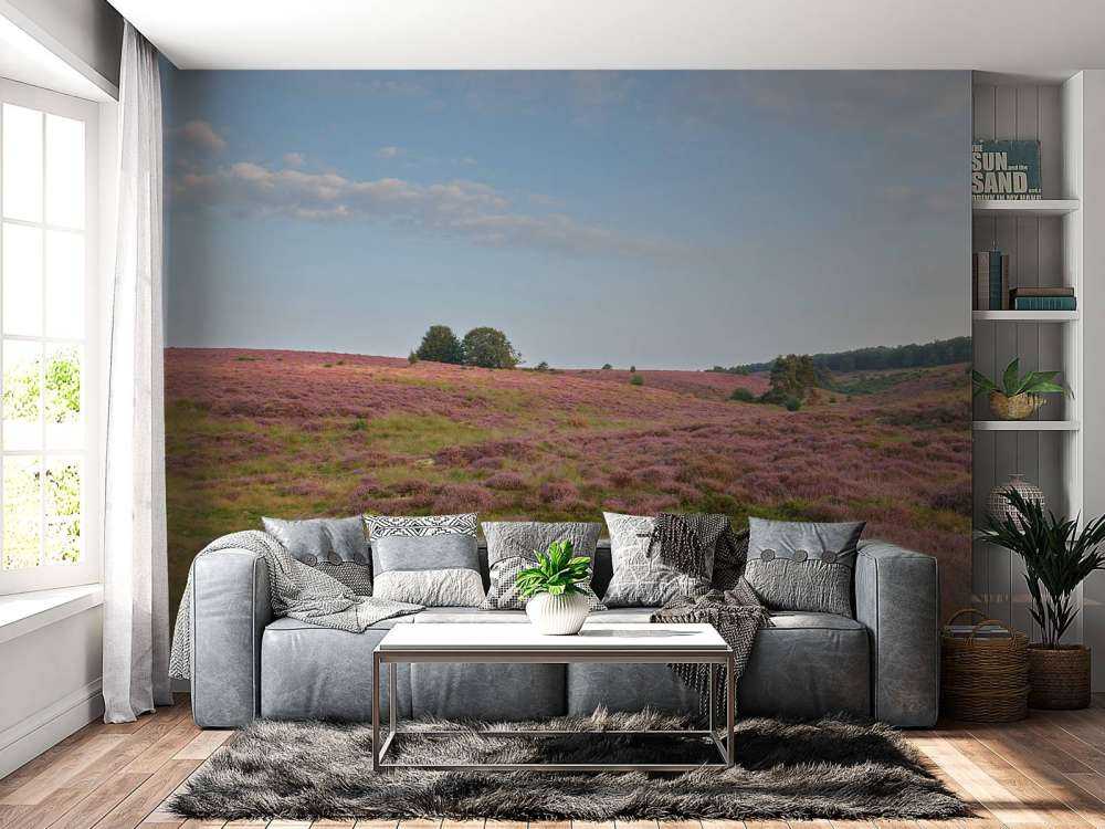 Blomstrende lyng