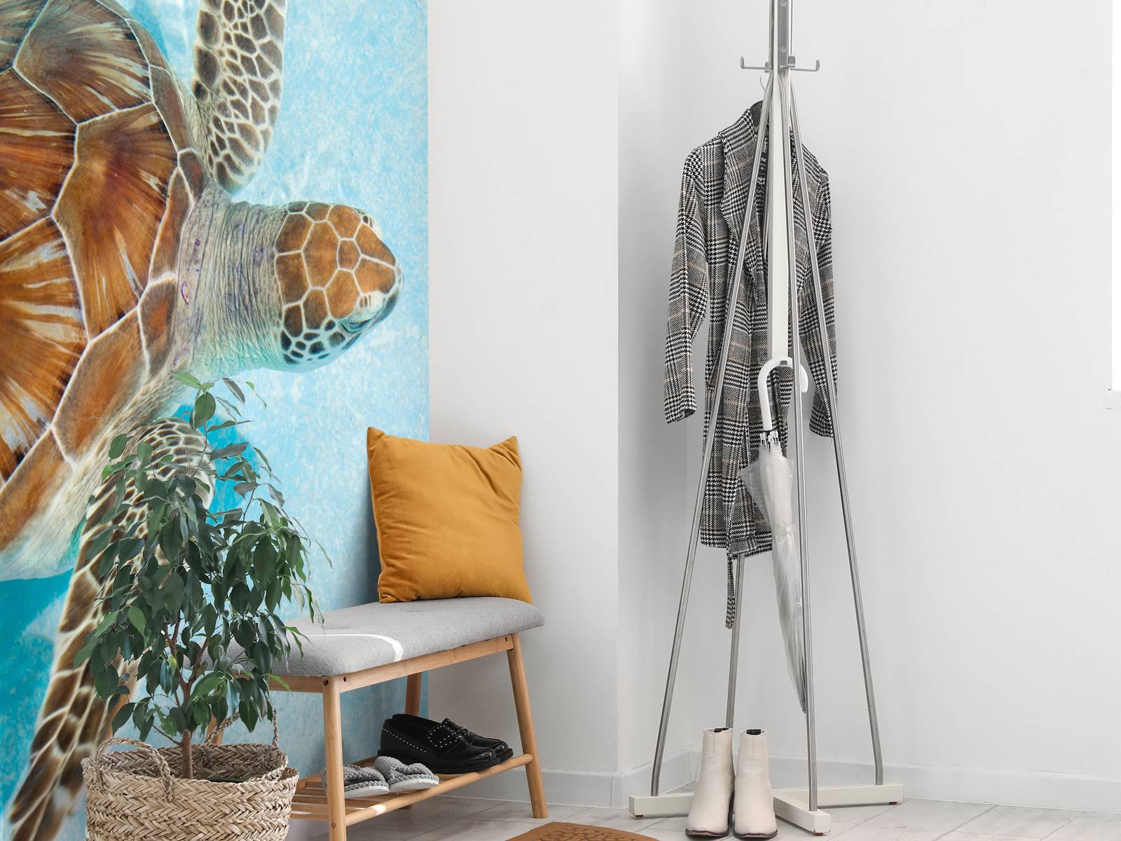 Fototapet - Skilpadde i vannet - Tapet.com, image size:1600x1200