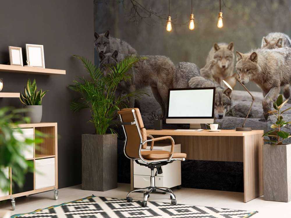 Skogvoktere Skumring