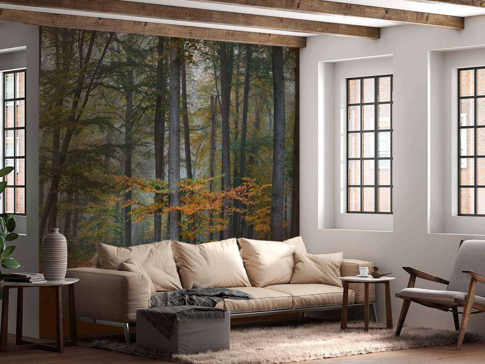 Høstfarger i tåkete skog