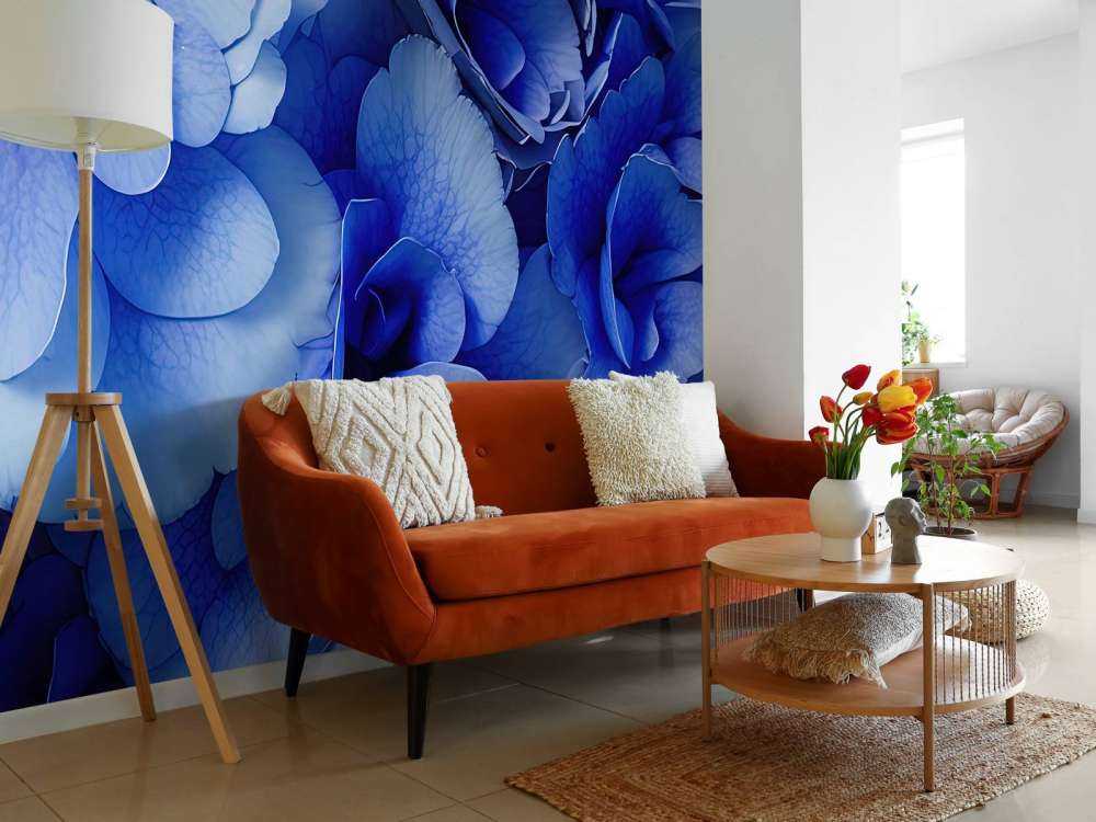 Närbild av blå hortensior