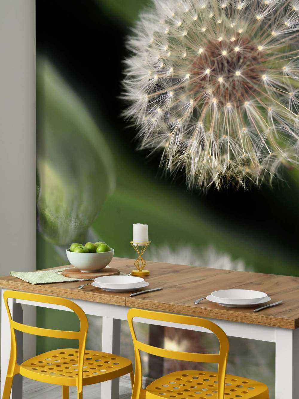 Närbild av maskrosor