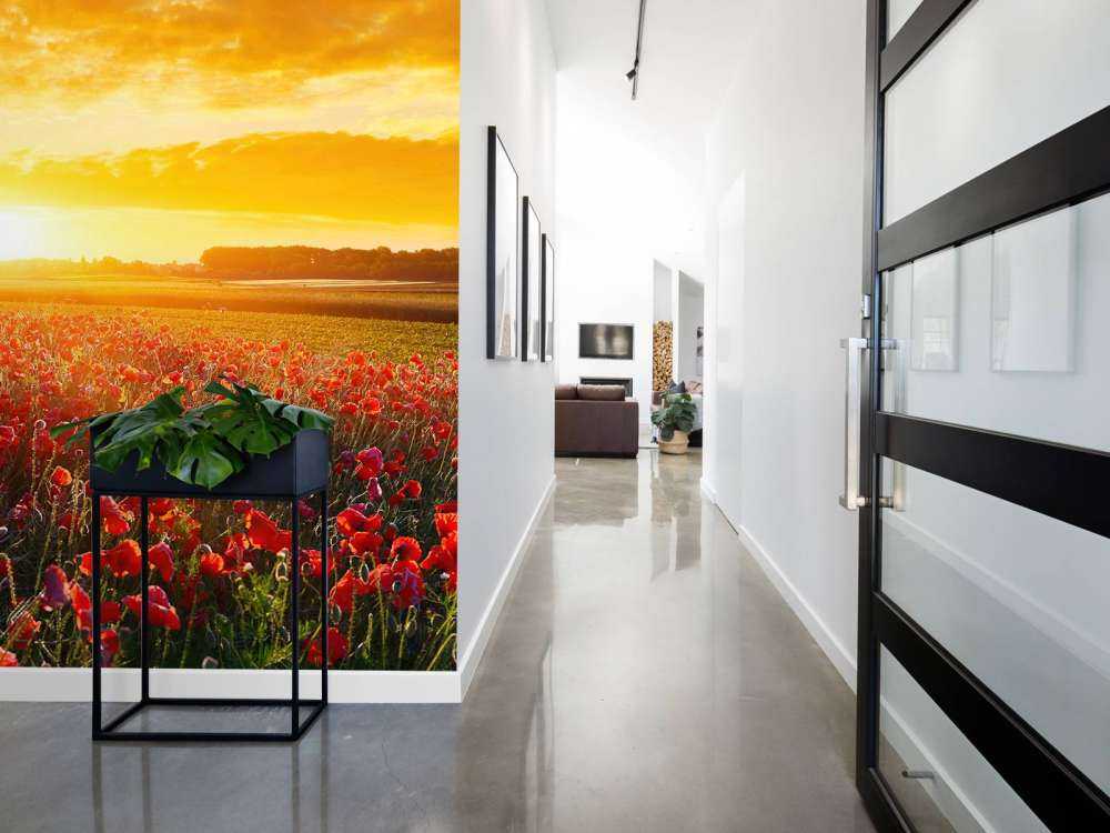 Vallmor och solnedgång