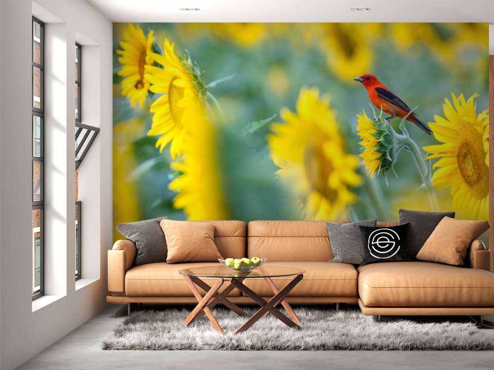 Solrosfält med röd fågel