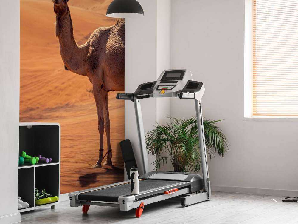 Offroadäventyr i öknen