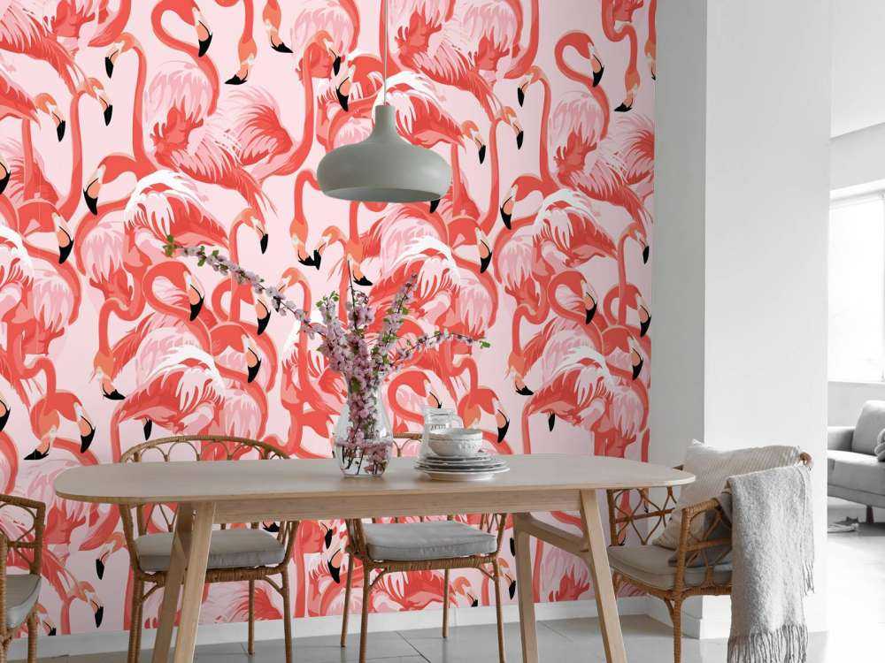 Exotiska flamingos
