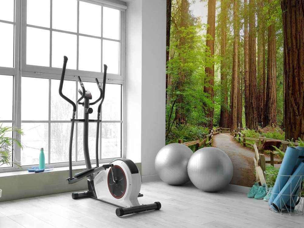 Höga träd parkerar in