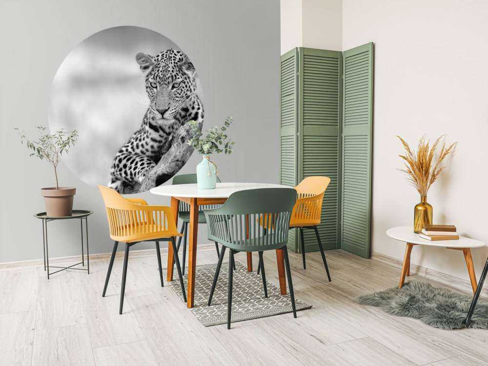 Leopard svart, vit