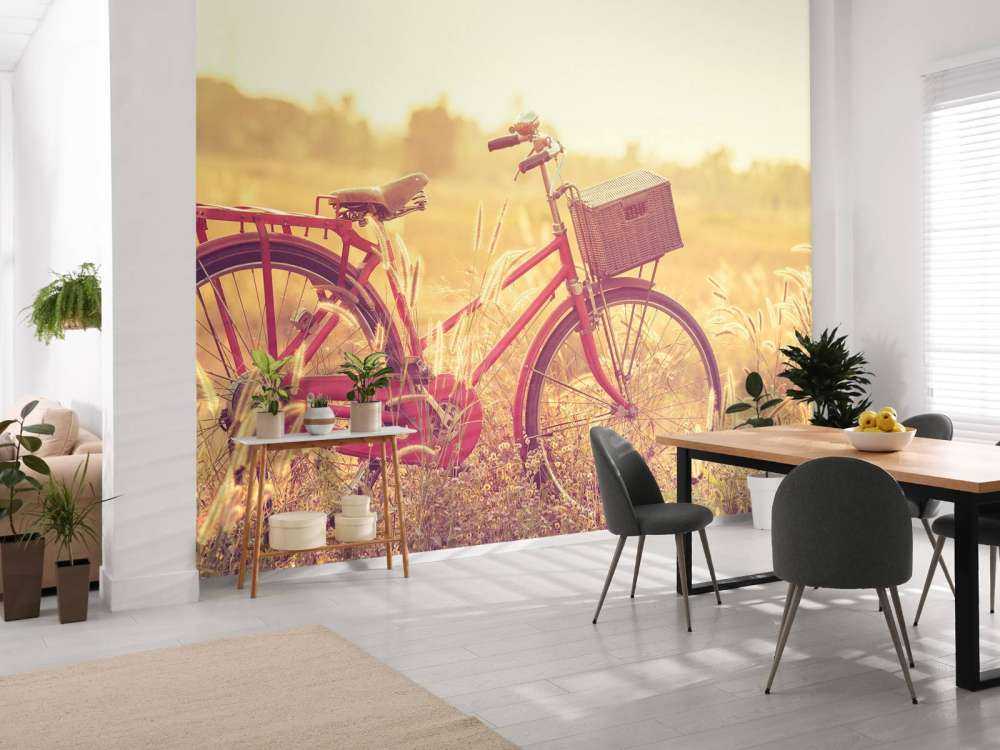 Vintage cykel