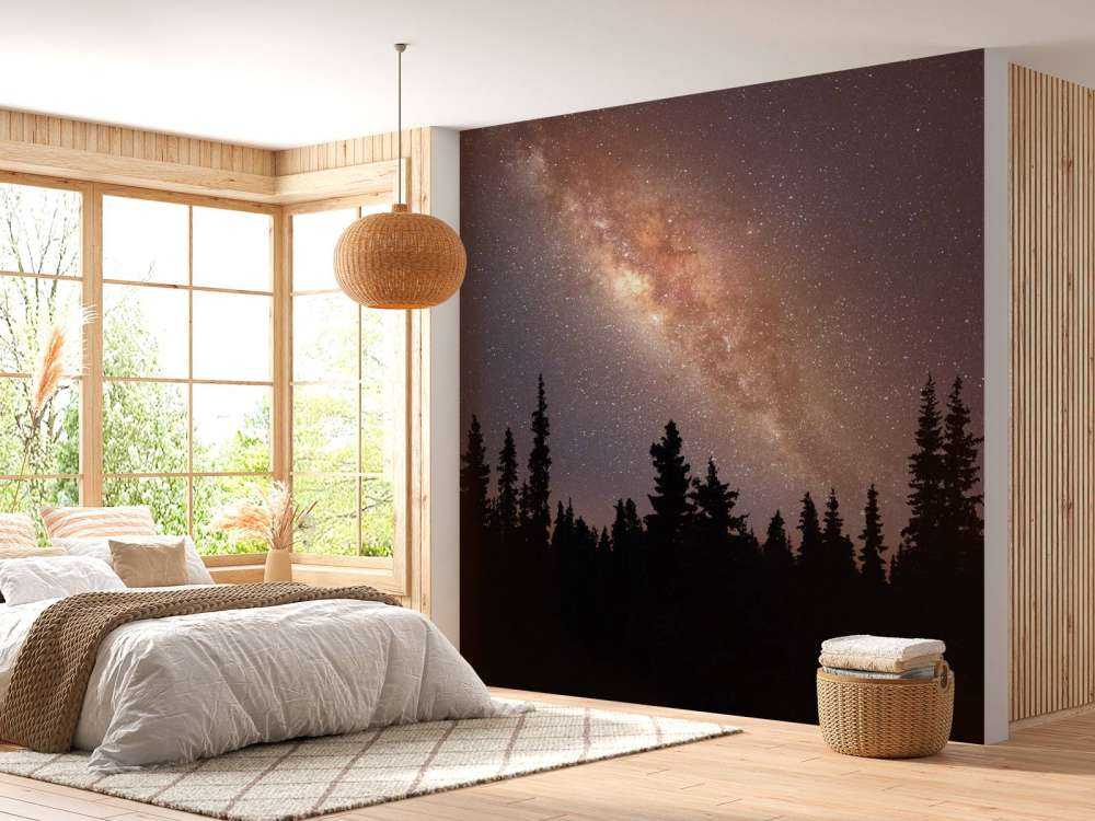 Vintergatan över siluett av träd