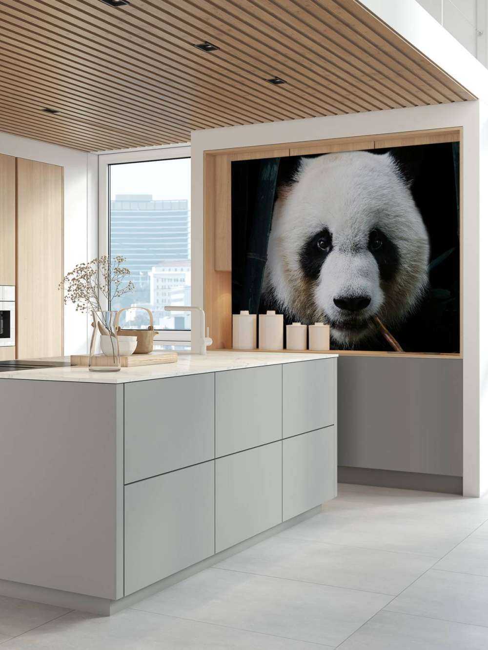 Panda Porträtt