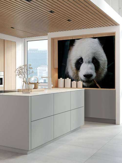 Panda Porträtt