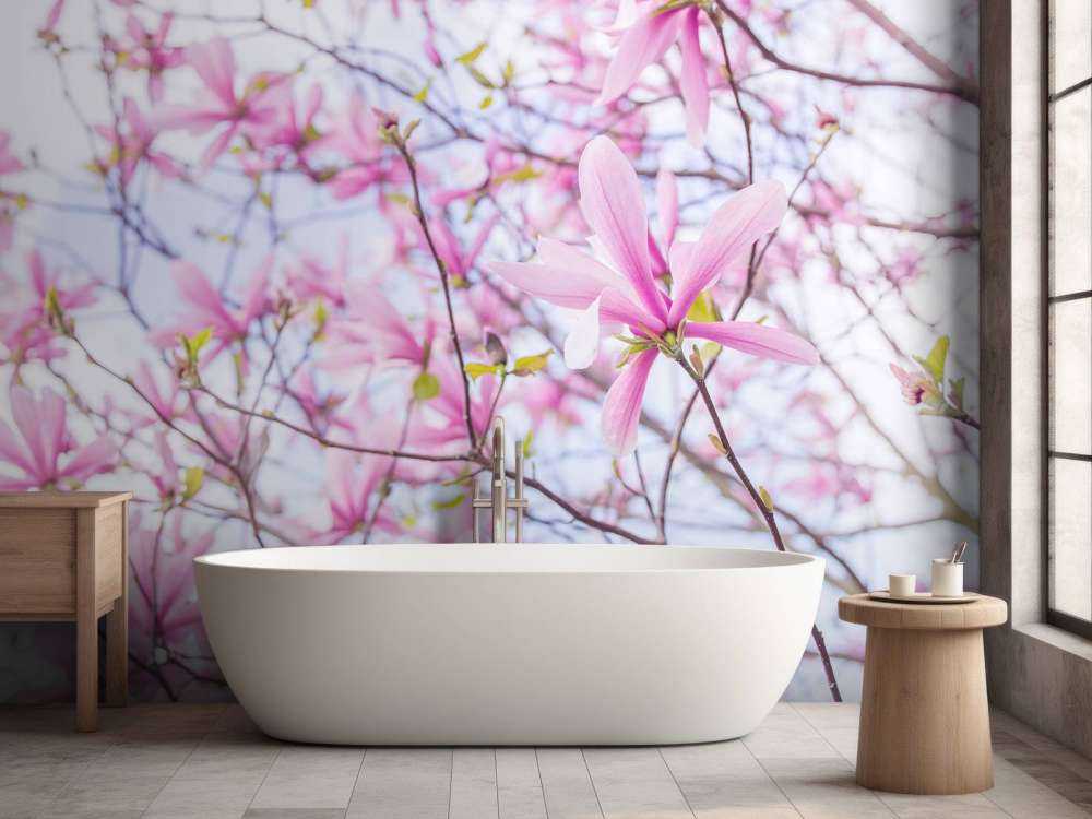 Magnolior