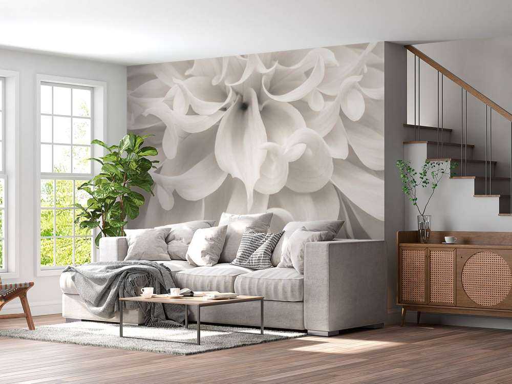 Närbild av dahliablomma