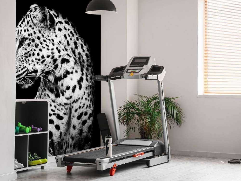 Dark Leopard