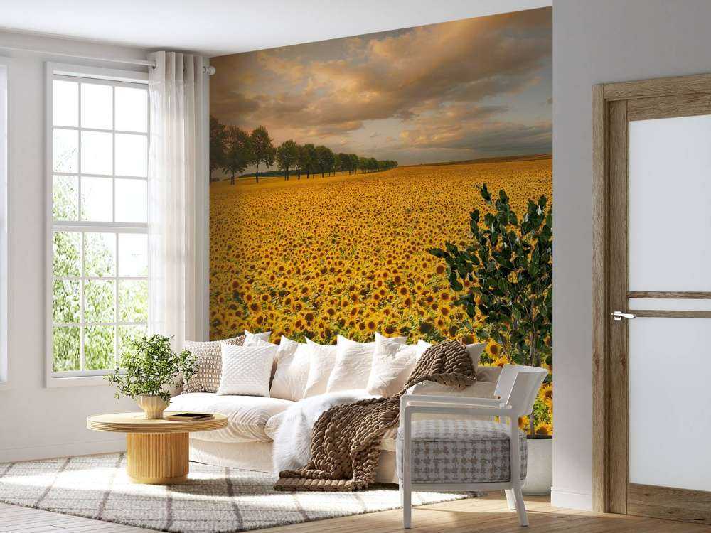 Sunflowers