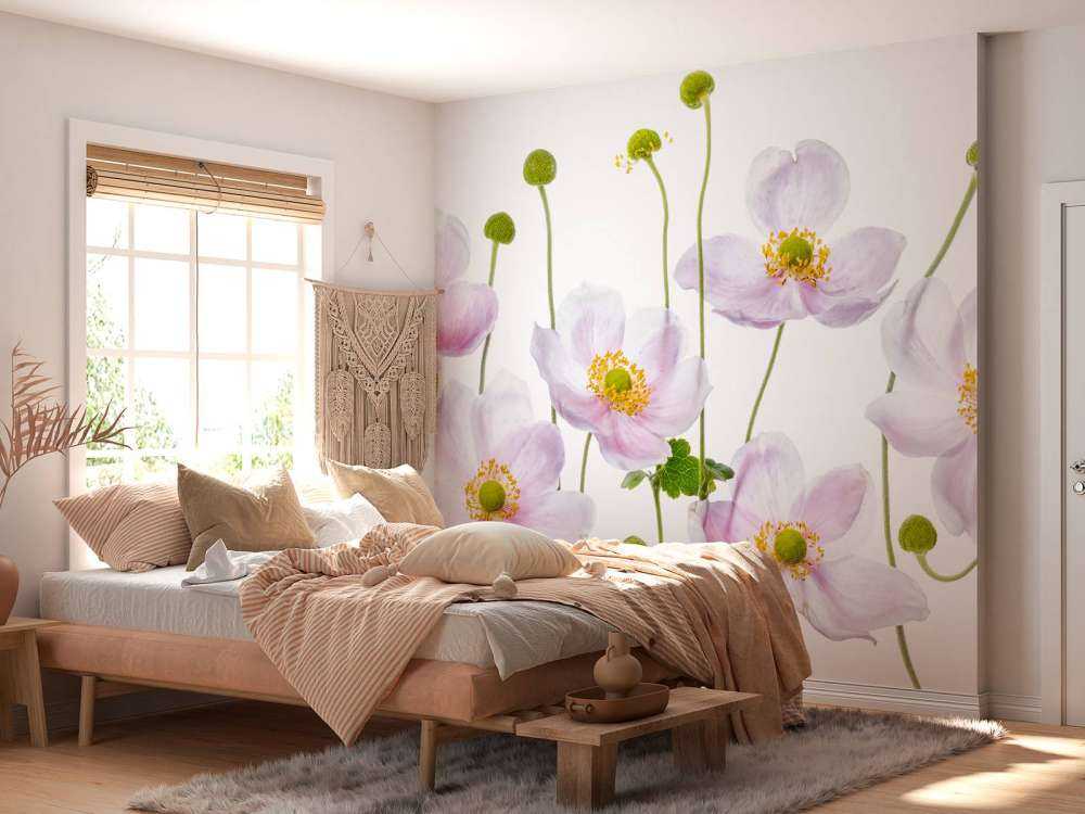 Japanese Anemones