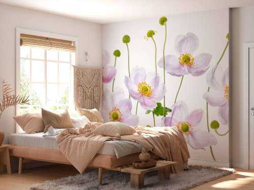 Japanese Anemones