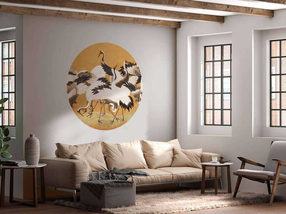 Crane Birds