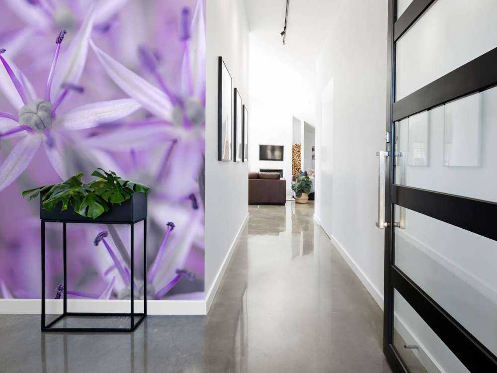 Lilla allium blomster