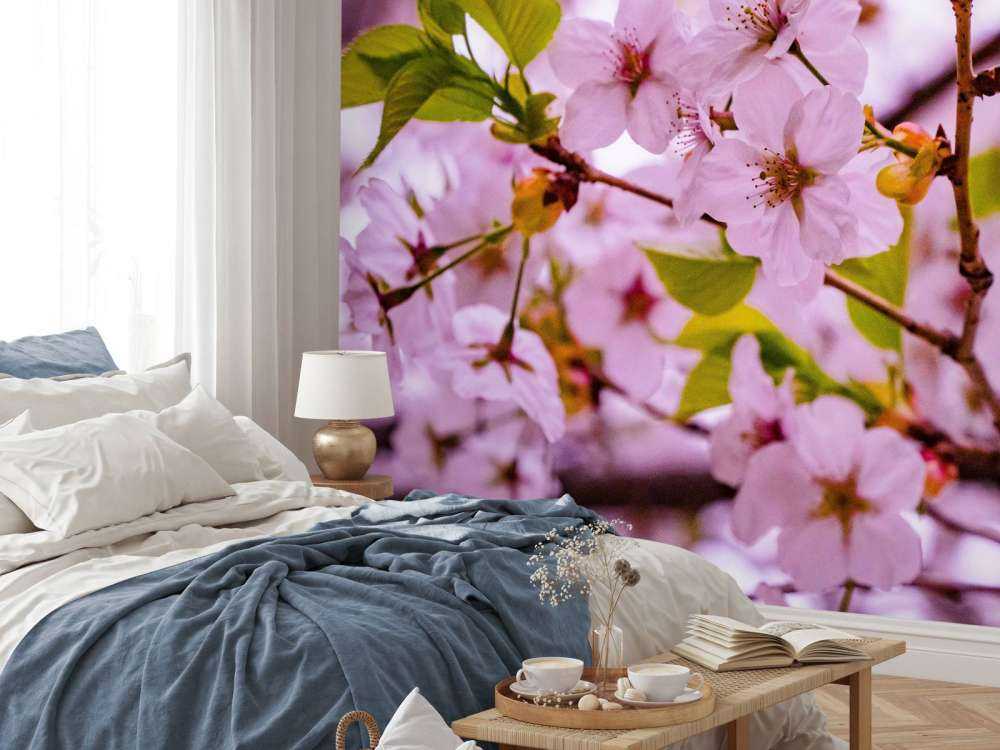 Lyserøde blomster med kronblade