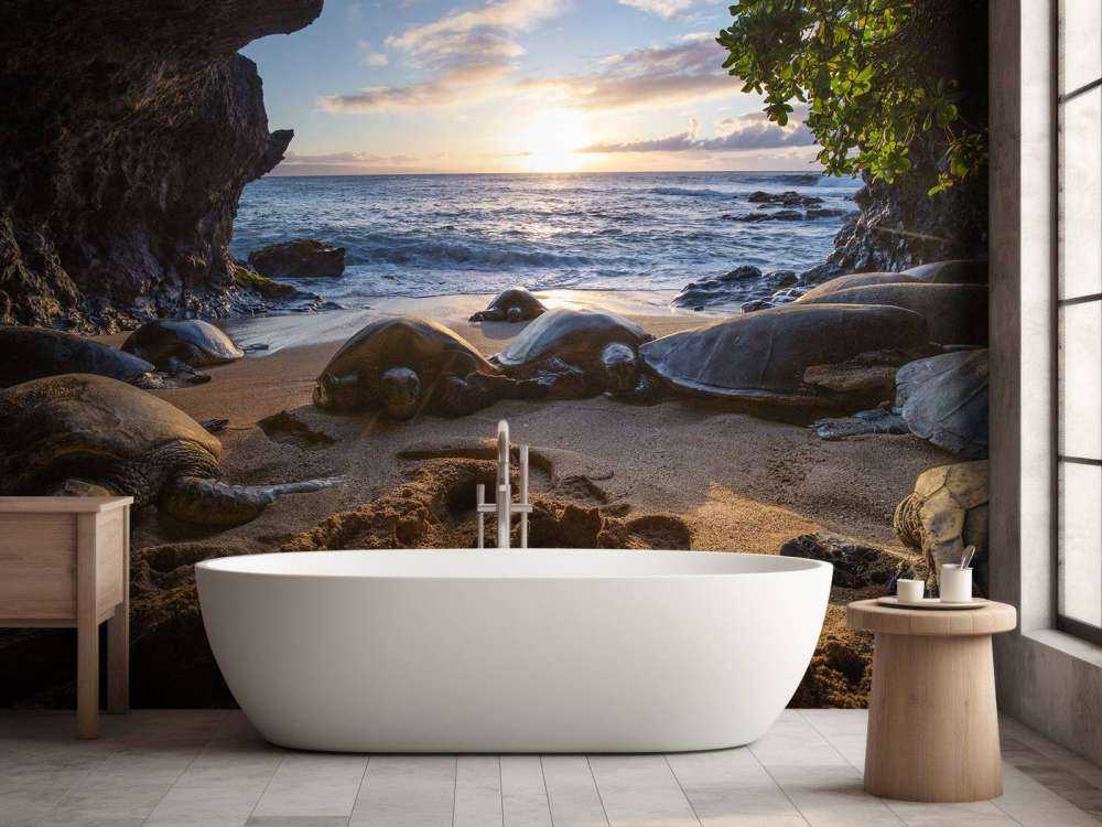 Skildpadder i en grotte