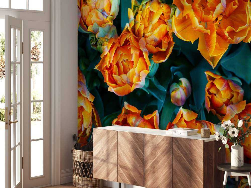 Nærbillede af orange tulipaner