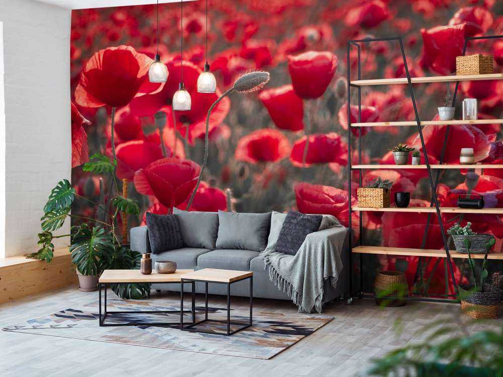 Valmuer i mørk stil