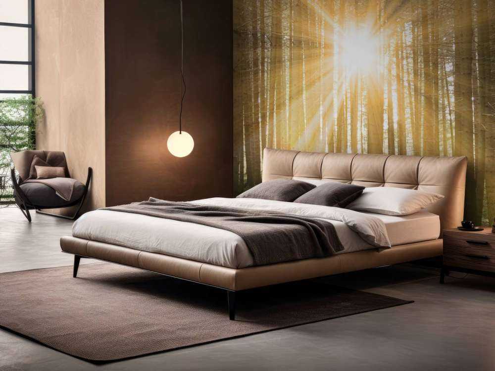 Fyrreskov med solskin