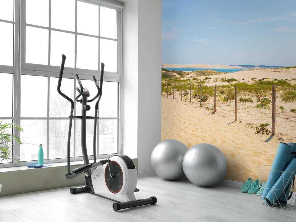 Sti til stranden