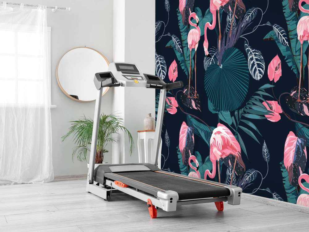 Vilde lyserøde flamingoer