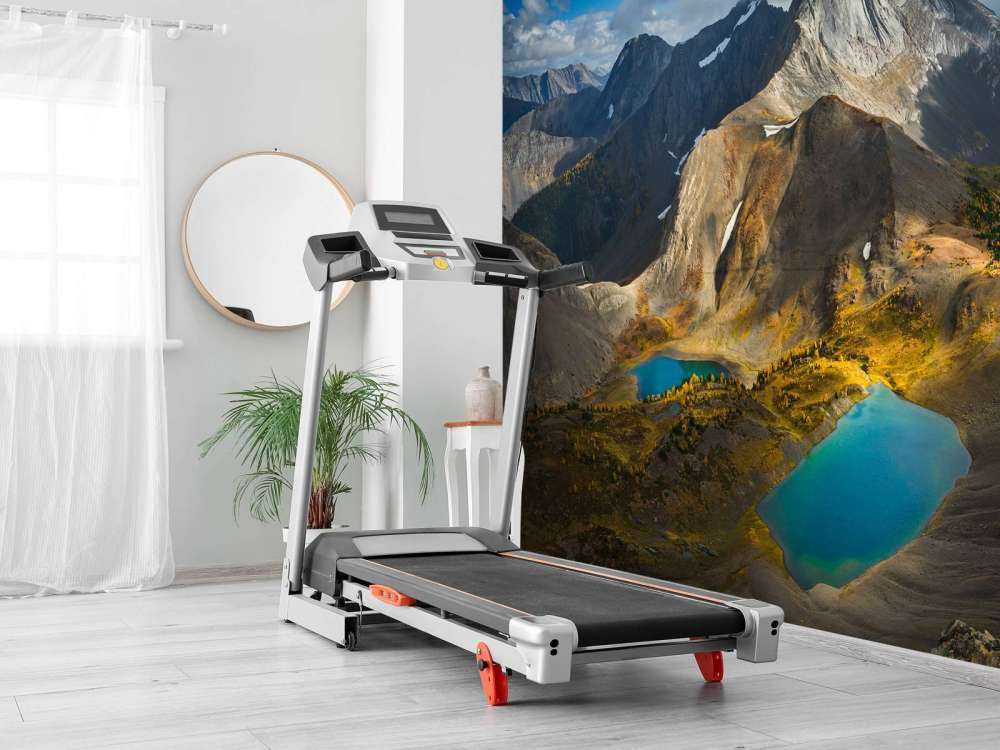 Smutwood ved efteråret