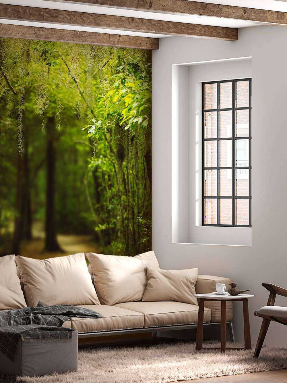 Spansk skov fuld af mos