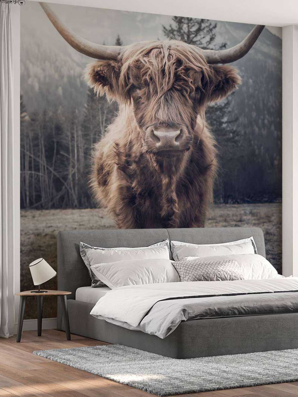 Scottish højlander ved skoven
