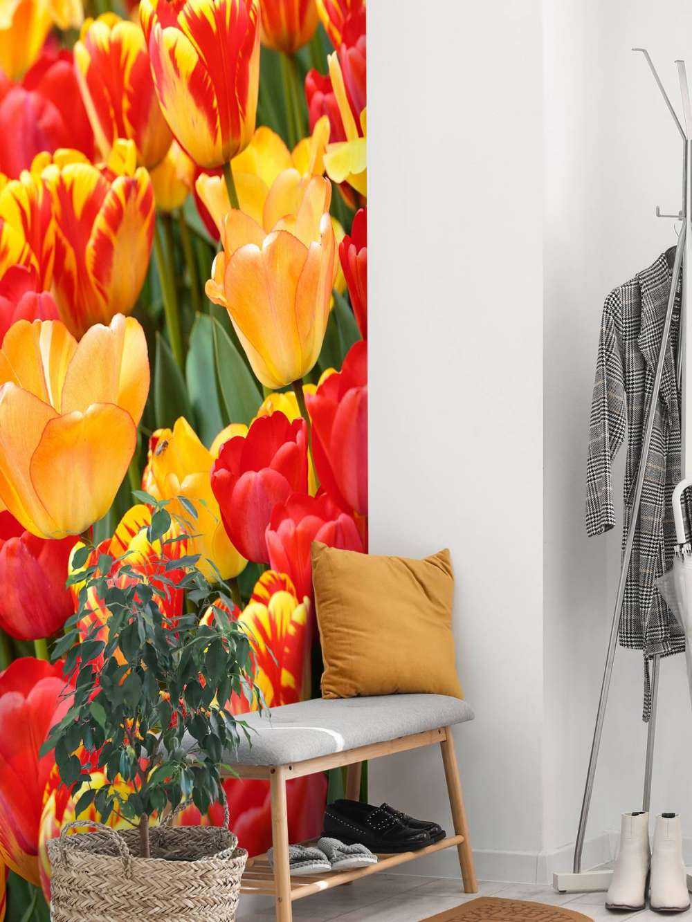 Farvede tulipaner