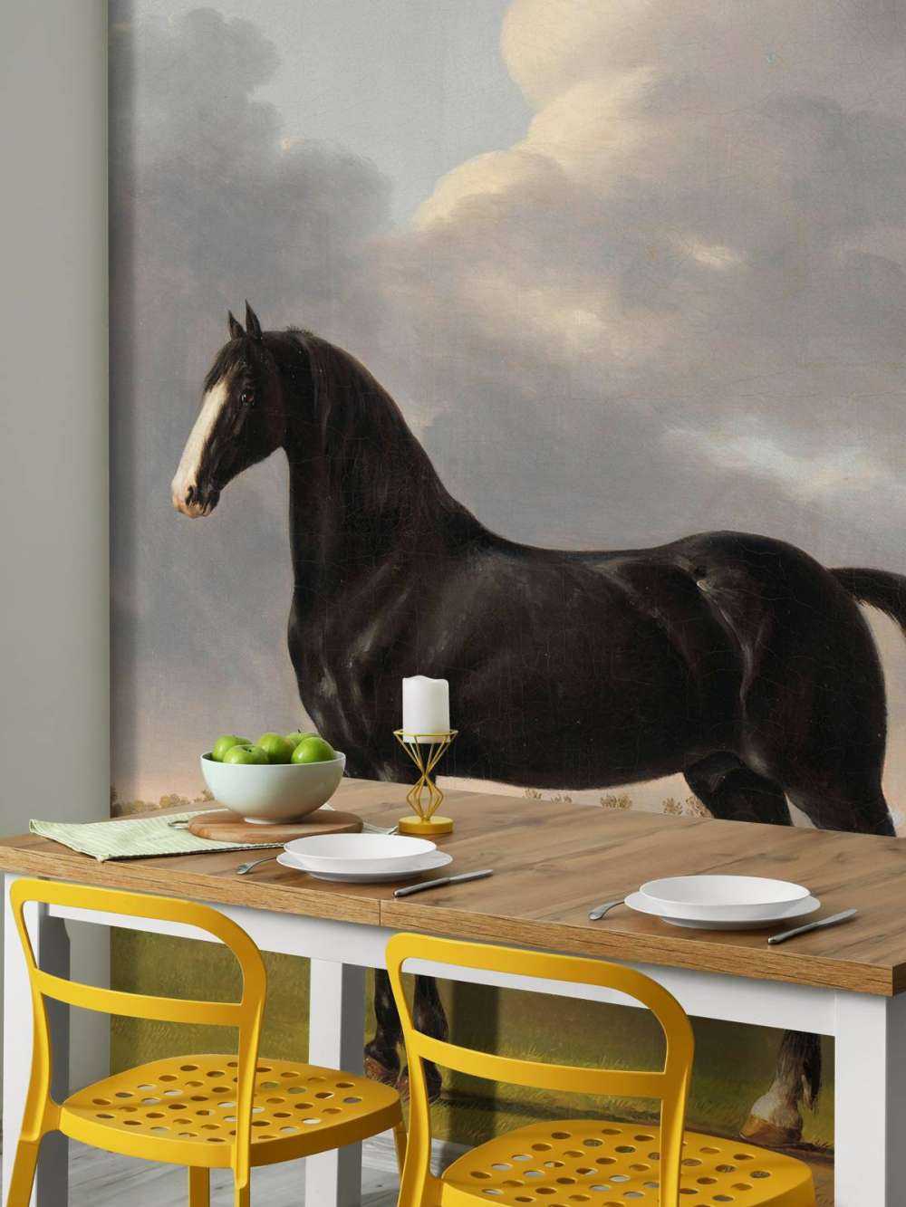 fototapet hest. Harddråer De Vlugge