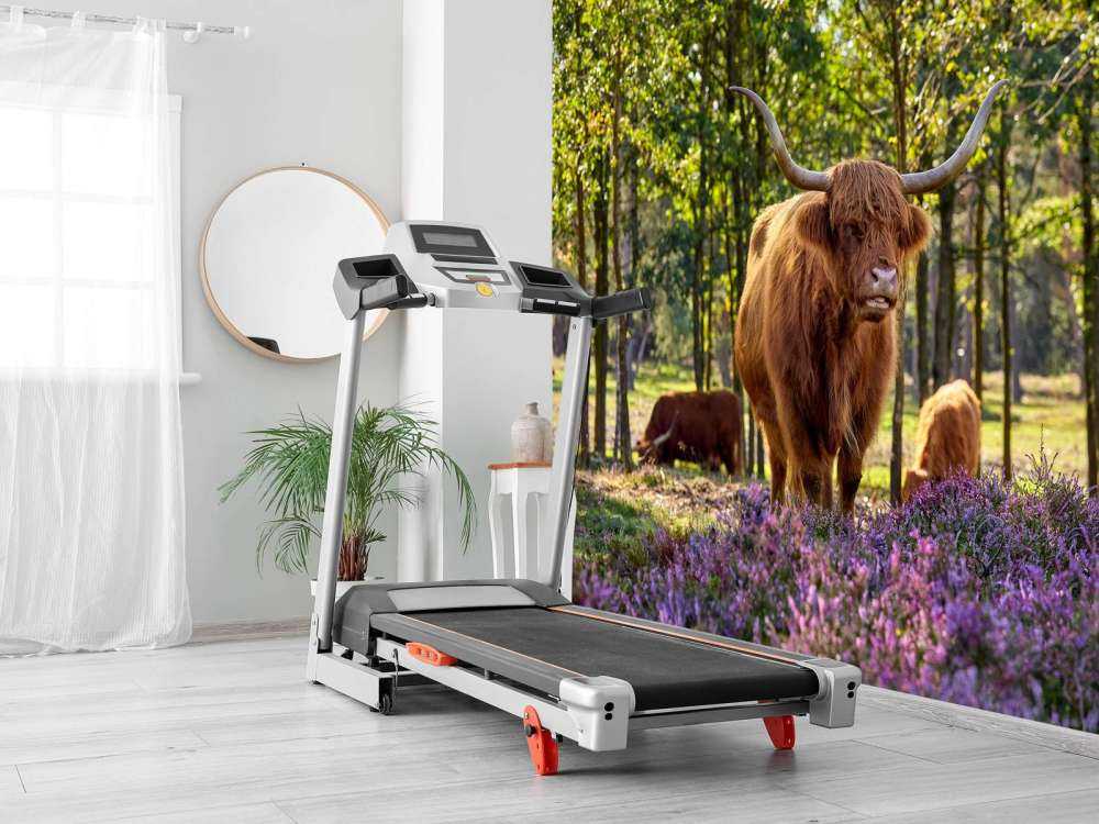 højlanders i naturreservat